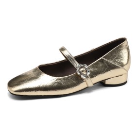 Business Casual Chunky Metallic Block Heels With Ankle Strap Mary Jane Sparkly Womens Footwear Low Heel Leather Fashion
